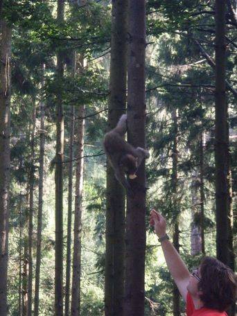 Ossiach2011 88