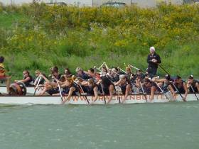 Drachenboot20102 13